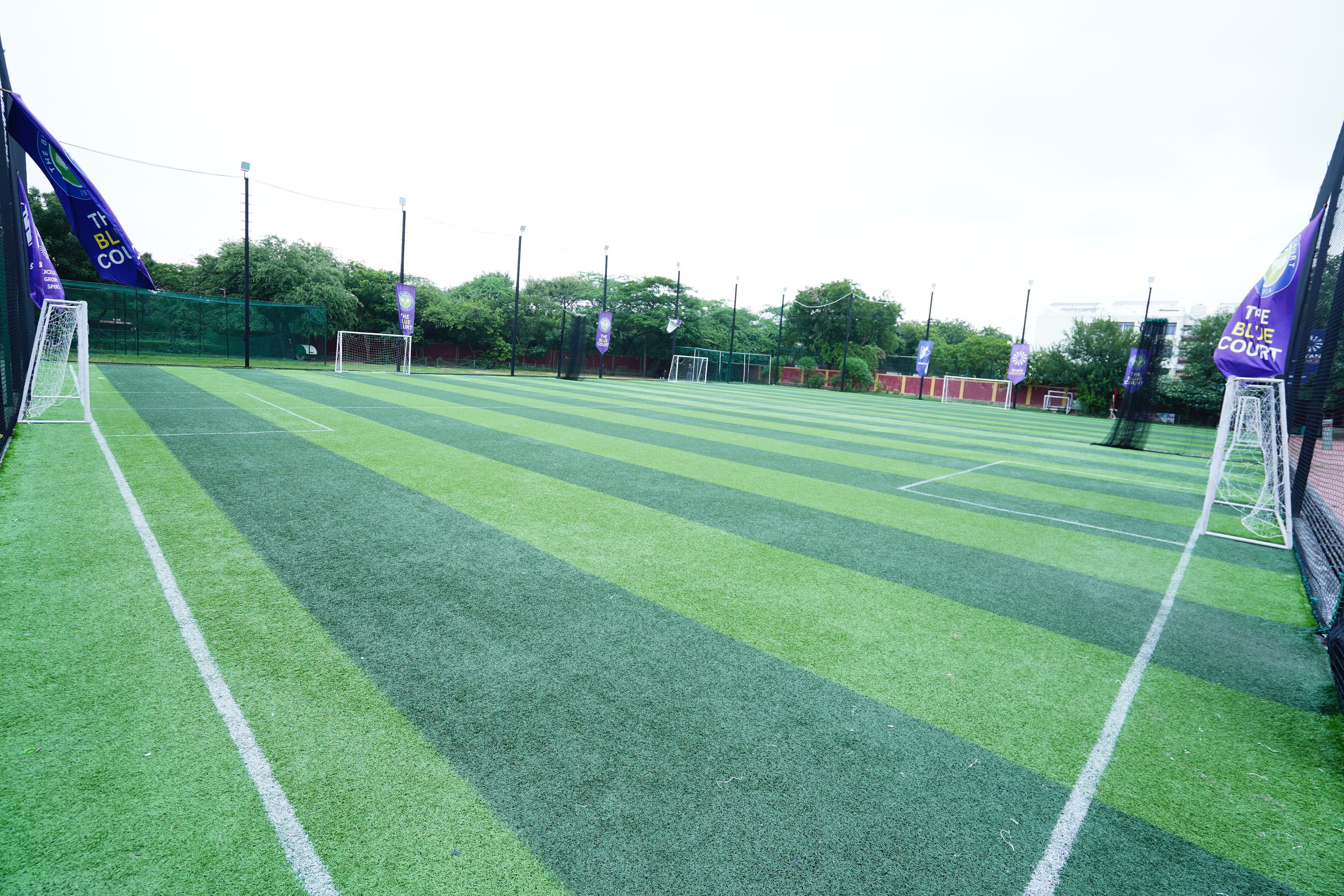 Face Off turf under floodlights